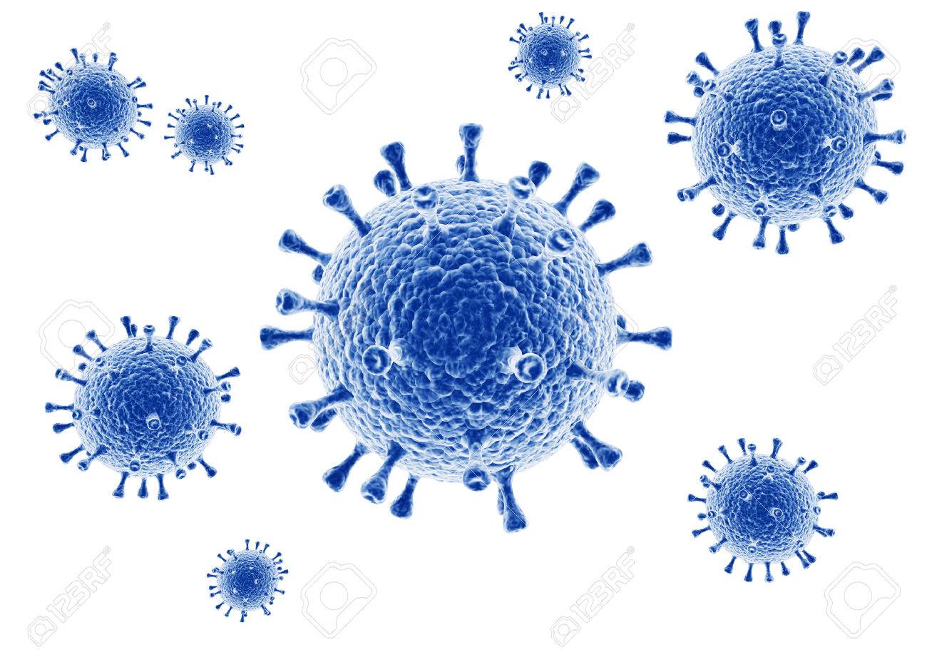 新型コロナウイルスの影響